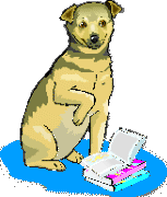Een hond met SLO.